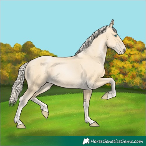 Horse Color:Palomino Pearl