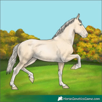 Horse Color:Palomino Pearl 