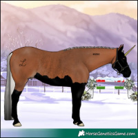 Horse Color:Void Silver Bay Splash Rabicano