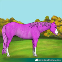 Horse Color:Watercolor Liver Chestnut Rabicano 