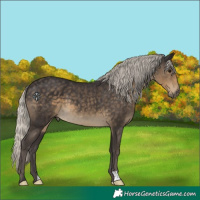Horse Color:Silver Smoky Black 