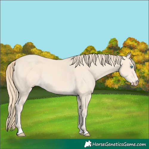 Horse Color:Perlino 