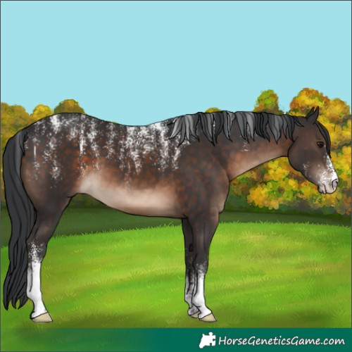 Horse Color:Powder White Brown 