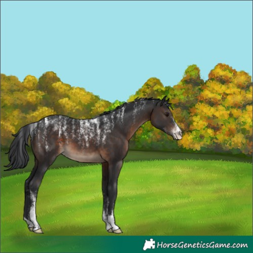 Horse Color:Powder White Brown 