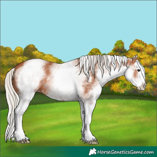 Horse Color:White Spotted Silver Bay Splash 