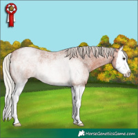 Horse Color:Silver Bay Roan Splash 