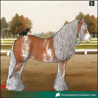 Horse Color:White Spotted Silver Bay Splash 