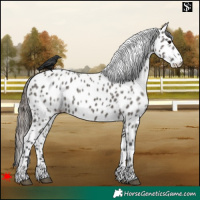 Horse Color:Grullo Leopard 