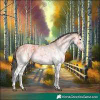 Horse Color:White Spotted Bay Roan Splash  and White Spotted Bay Roan Splash Varnish 