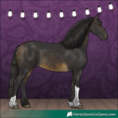 Horse Color:Buckskin Tobiano 