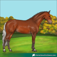 Horse Color:Silver Bay