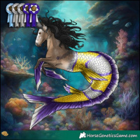 Horse Color:Gray Brown Dun Rabicano