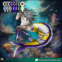 Horse Color:Gray Brown Dun Rabicano 