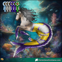 Horse Color:Gray Brown Dun Rabicano