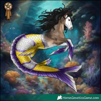 Horse Color:Gray Brown Dun Splash Rabicano 