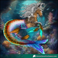 Horse Color:Gray White Spotted Silver Buckskin Rabicano