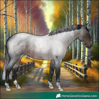 Horse Color:Gray Brown Roan Rabicano 