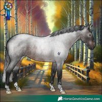 Horse Color:Gray Brown Roan Rabicano 