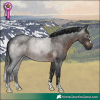 Horse Color:Gray Brown Roan Rabicano 