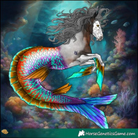 Horse Color:Gray Brown Splash Rabicano 