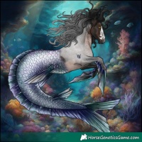 Horse Color:Gray Brown Rabicano 