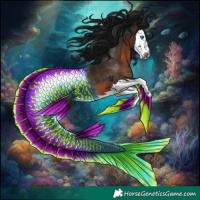 Horse Color:Gray Brown Splash Rabicano 