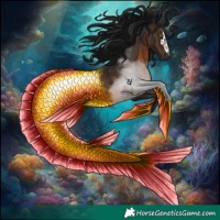 Horse Color:Gray Brown Rabicano 