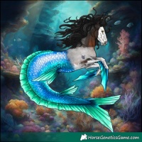 Horse Color:Gray Brown Splash Rabicano 