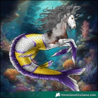 Horse Color:Gray Brown Splash Rabicano 