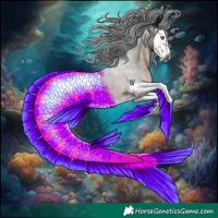 Horse Color:Gray Brown Splash Rabicano 