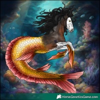 Horse Color:Gray Brown Splash Rabicano 