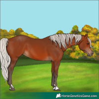 Horse Color:Silver Brown 