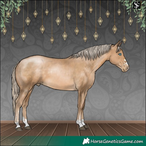 Horse Color:Liver Chestnut Snowdrop 