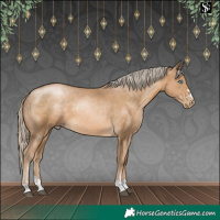 Horse Color:Liver Chestnut Snowdrop