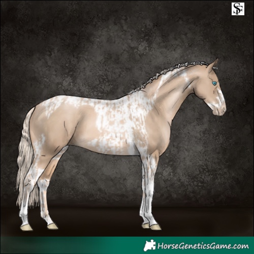 Horse Color:Chocolate Palomino Pearl Tobiano Frame  and Chocolate Palomino Pearl Tobiano Frame 