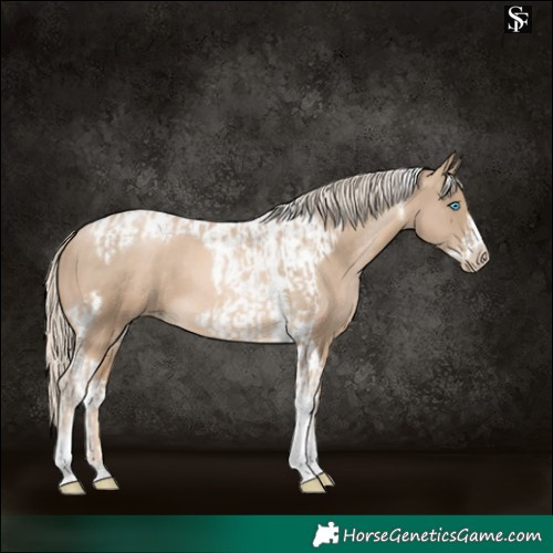Horse Color:Chocolate Palomino Pearl Tobiano Frame  and Chocolate Palomino Pearl Tobiano Frame 