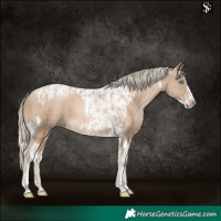 Horse Color:Chocolate Palomino Pearl Tobiano Frame  and Chocolate Palomino Pearl Tobiano Frame 