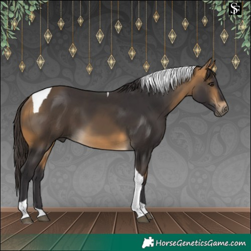Horse Color:Buckskin Tobiano 