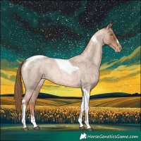 Horse Color:Liver Red Roan Pearl Tobiano Frame