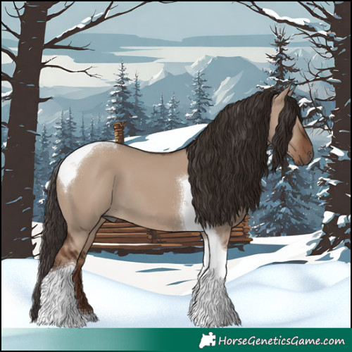 Horse Color:Liver Red Dun Tobiano 