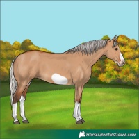 Horse Color:Silver Bay Dun Splash Frame 