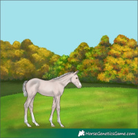 Horse Color:Platinum Silver Amber Champagne