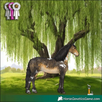 Horse Color:White Spotted Buckskin 