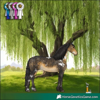 Horse Color:White Spotted Buckskin