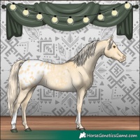 Horse Color:Palomino Dun Appaloosa  and Palomino Dun Appaloosa 