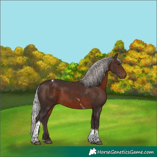 Horse Color:Silver Brown Tobiano 