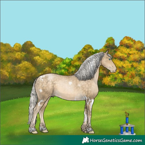 Horse Color:White Spotted Silver Buckskin Pearl 