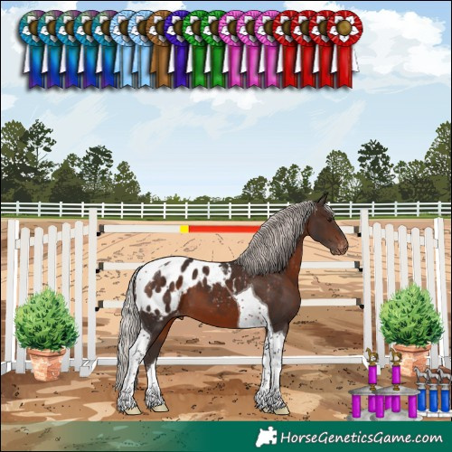 Horse Color:Silver Brown Tobiano Blanket 