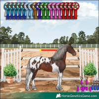 Horse Color:Silver Brown Tobiano Blanket