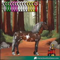 Horse Color:White Spotted Silver Brown